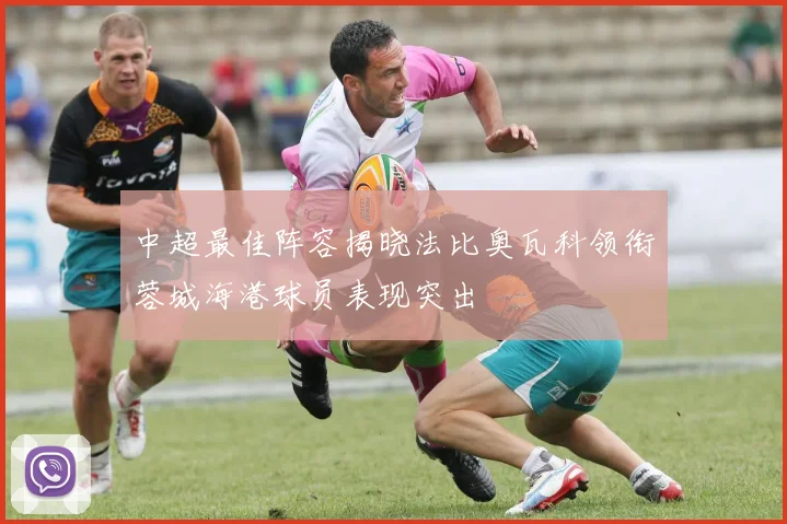 中超最佳阵容揭晓法比奥瓦科领衔蓉城海港球员表现突出